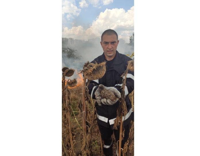 Пожарникар