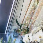 Счупен прозорец