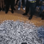 Риба, изсипана от протестиращите пред Министерски съвет