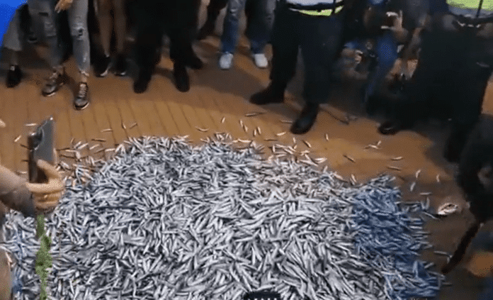 Риба, изсипана от протестиращите пред Министерски съвет