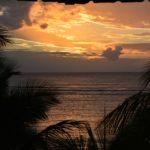 Залез на о. Мавриций.