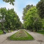 Цар Симеонова градина