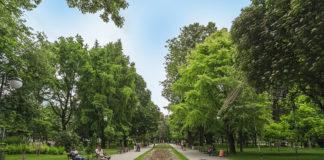 Цар Симеонова градина