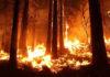 Пожар
