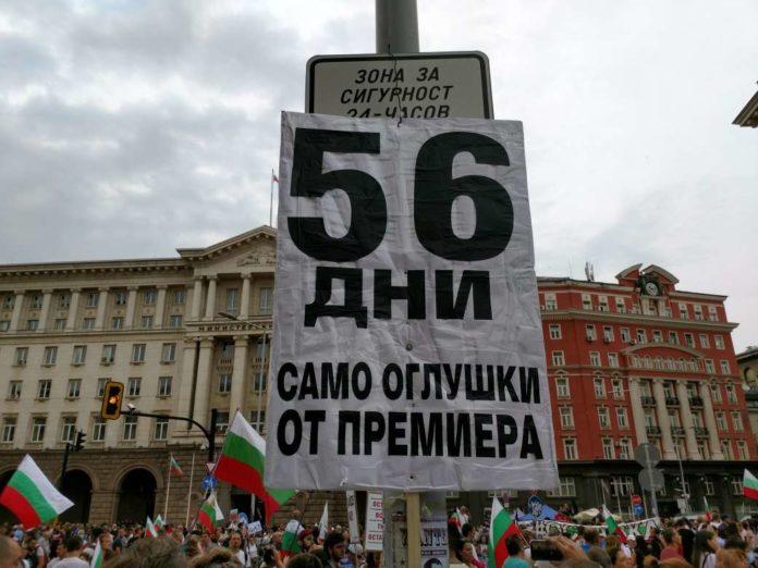 Протестиращи