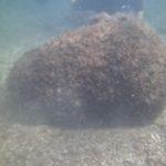 Руска мина от 1926