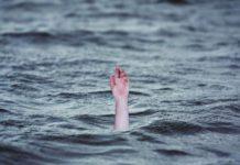 удавен, удавила