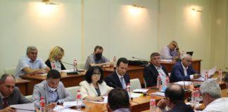 Теменужка Петкова