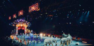 Животни в цирк.