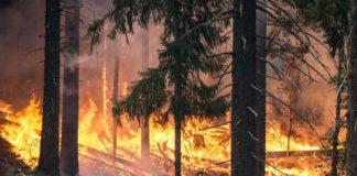 Горски пожари