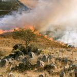 Горски пожар.