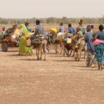 Група мигранти.