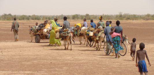 Група мигранти.