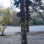 ОУ "Хан Крум" в София