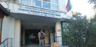 Мая Манолова