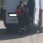 Насилие над животно