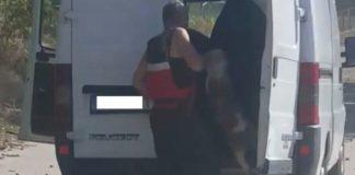 Насилие над животно