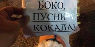 Протестиращи