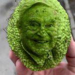 Соросоиден зеленчук