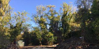 Варна, Морска градина, строеж