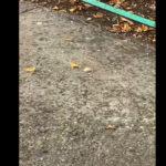 Градушка в Бургас