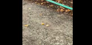 Градушка в Бургас