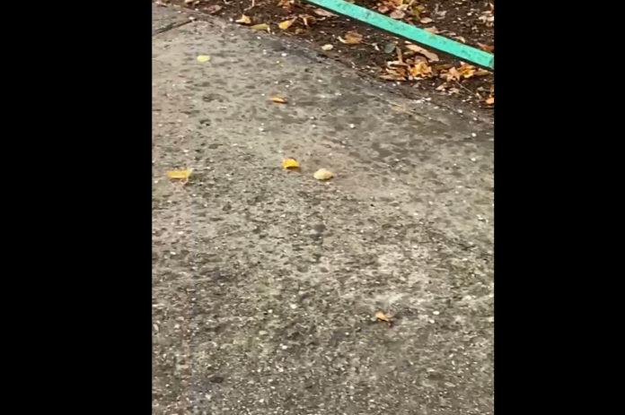 Градушка в Бургас