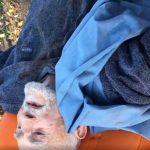 Мъж има спешна нужда от помощ