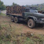 Сеч в Средна гора