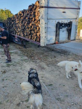 Сеч в Средна гора