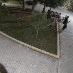 Вандализъм в Борисовата градина в Бургас