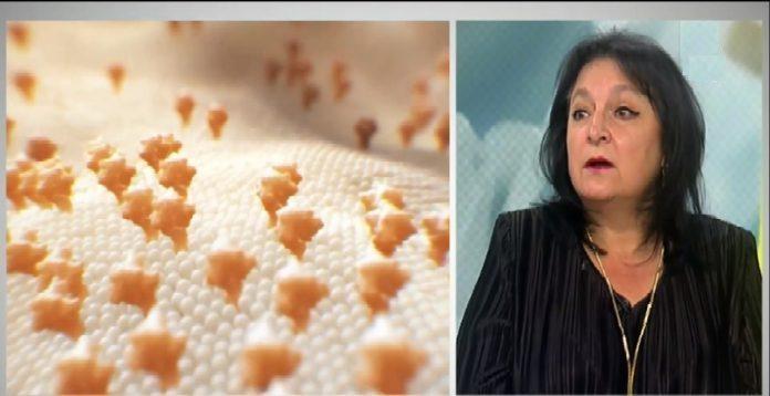 Доцент Любомира Николаева-Гломб