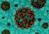 Коронавирус