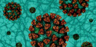 Коронавирус