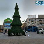 Коледна елха