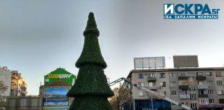 Коледна елха