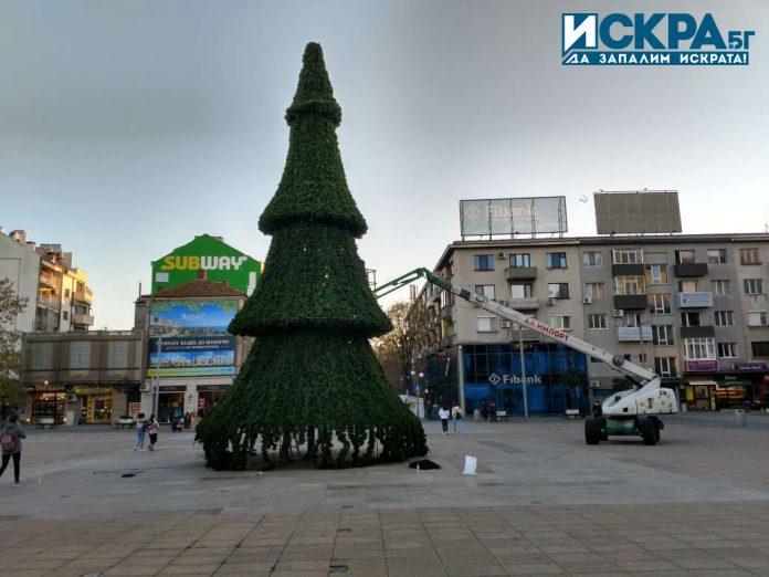 Коледна елха