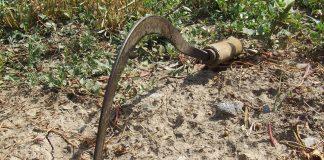 Земеделска коса