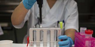 Лабораторни тестове. Снимка: Pixabay.