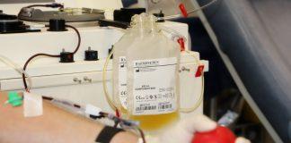 кръводаряване