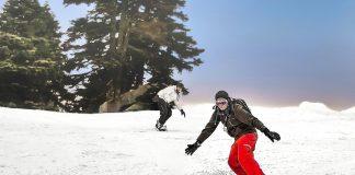 Зимни спортове. Снимка: Pixabay.