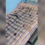 Мизерни условия в столична болница