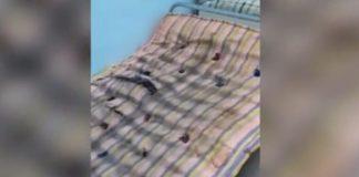 Мизерни условия в столична болница