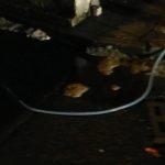 Вода се излива по улици в квартал "Победа"