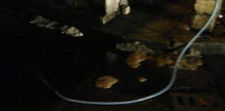 Вода се излива по улици в квартал "Победа"