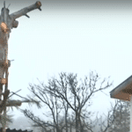 Сеч. Снимка: Репортаж на NOVA