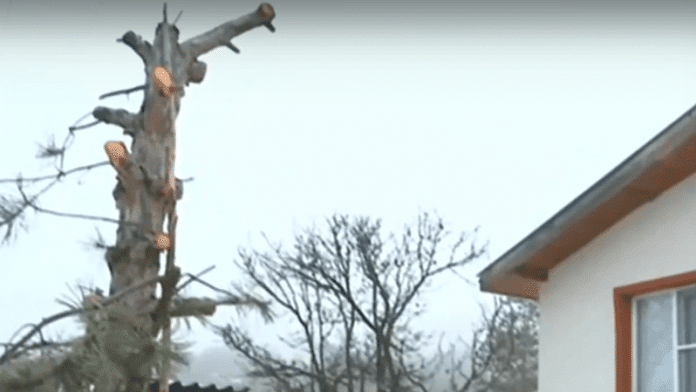 Сеч. Снимка: Репортаж на NOVA