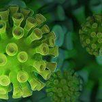 Коронавирус