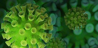 Коронавирус