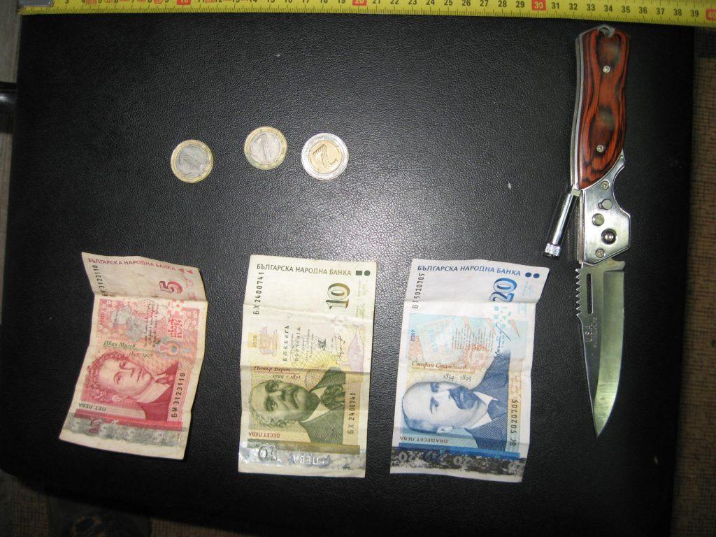 Павликени случай